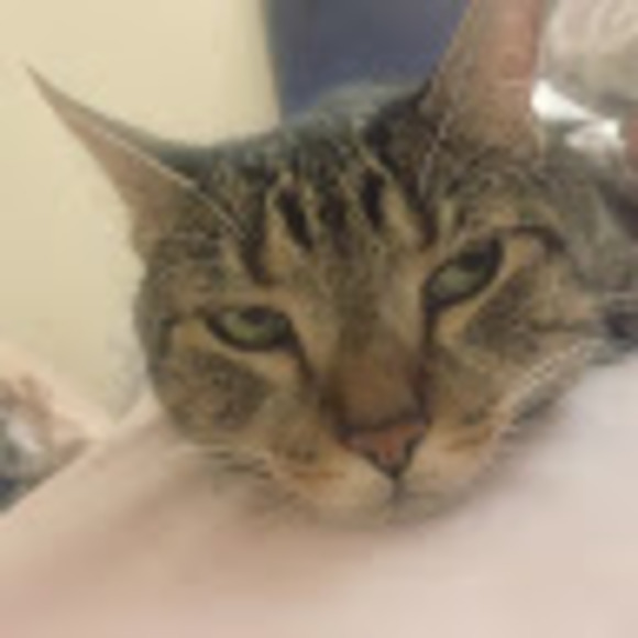 Meet your Posher, Christine - Picture 1 of 1